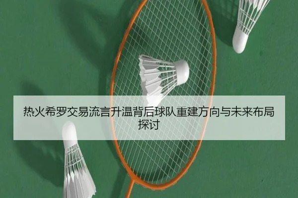 热火希罗交易流言升温背后球队重建方向与未来布局探讨